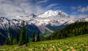 Превью обои горы, пейзаж, mt rainier, вашингтон, трава, hdr