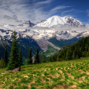 Превью обои горы, пейзаж, mt rainier, вашингтон, трава, hdr