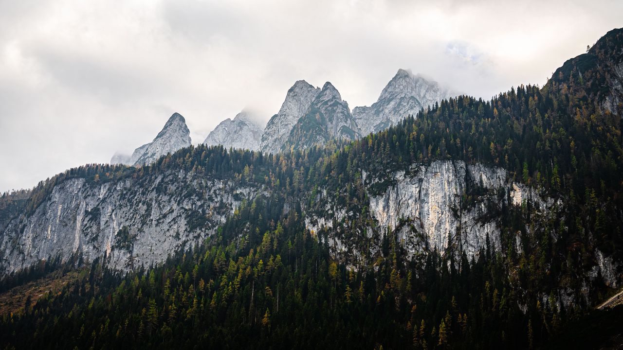 Обои горы, пейзаж, природа, деревья, лес