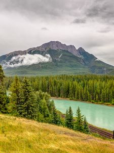 Превью обои горы, река, ель, лес, облака, небо