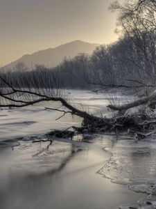 Превью обои горы, река, снег, коряга