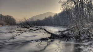 Превью обои горы, река, снег, коряга