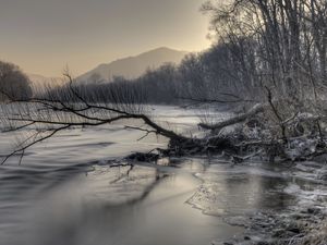 Превью обои горы, река, снег, коряга