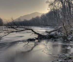 Превью обои горы, река, снег, коряга