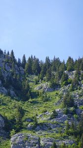 Превью обои горы, рельеф, деревья, природа