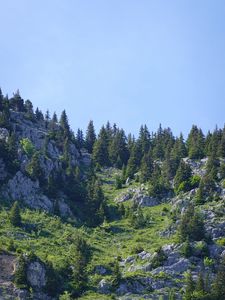 Превью обои горы, рельеф, деревья, природа