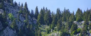 Превью обои горы, рельеф, деревья, природа