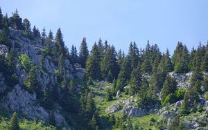 Превью обои горы, рельеф, деревья, природа