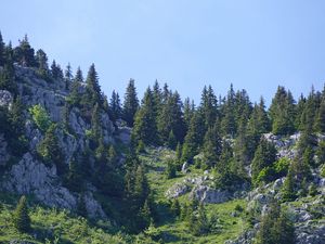 Превью обои горы, рельеф, деревья, природа