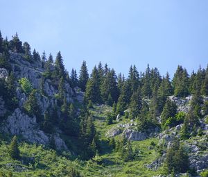 Превью обои горы, рельеф, деревья, природа