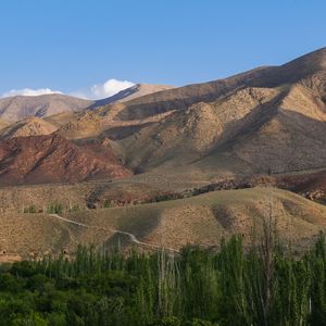 Превью обои горы, рельеф, вершины, деревья, лес, пейзаж