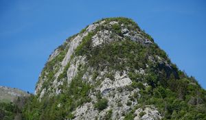 Превью обои горы, скала, деревья, природа, лес, склон, пейзаж