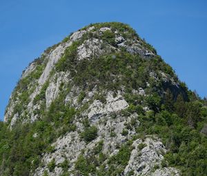 Превью обои горы, скала, деревья, природа, лес, склон, пейзаж