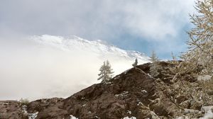 Превью обои горы, скала, ель, снег, природа