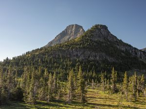 Превью обои горы, скалы, деревья, ель, небо