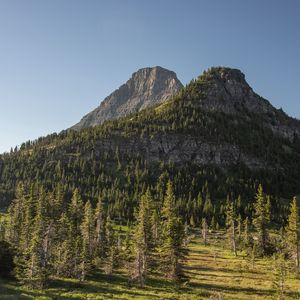 Превью обои горы, скалы, деревья, ель, небо