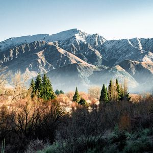 Превью обои горы, скалы, деревья, кусты, ель