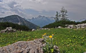 Превью обои горы, скалы, деревья, пейзаж