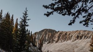 Превью обои горы, скалы, ель, деревья, камни