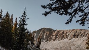 Превью обои горы, скалы, ель, деревья, камни