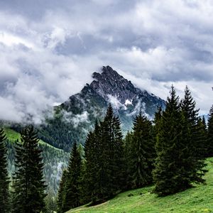 Превью обои горы, скалы, ель, деревья, облака, туман