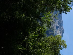 Превью обои горы, скалы, лес, деревья, природа, лето