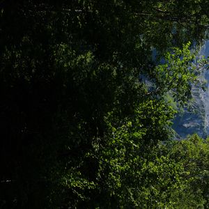 Превью обои горы, скалы, лес, деревья, природа, лето