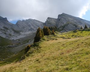 Превью обои горы, скалы, пейзаж, деревья, склон