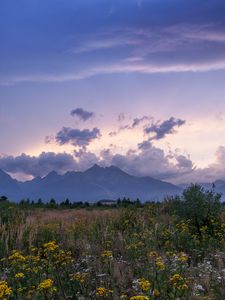 Превью обои горы, скалы, полевые цветы, трава, даль