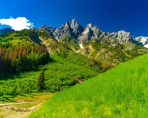 Превью обои горы, скалы, рельеф, трава, склоны, пейзаж