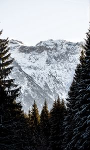 Превью обои горы, скалы, снег, заснеженный, ель, небо