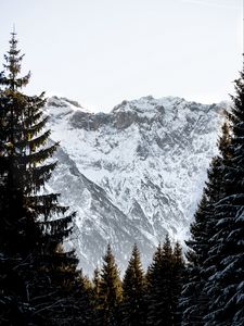 Превью обои горы, скалы, снег, заснеженный, ель, небо
