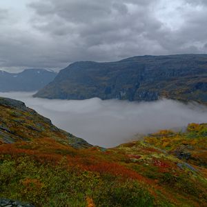 Превью обои горы, скалы, тайга, трава, туман