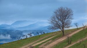 Превью обои горы, склон, дерево, природа