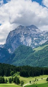 Превью обои горы, склон, лес, альпы, пейзаж