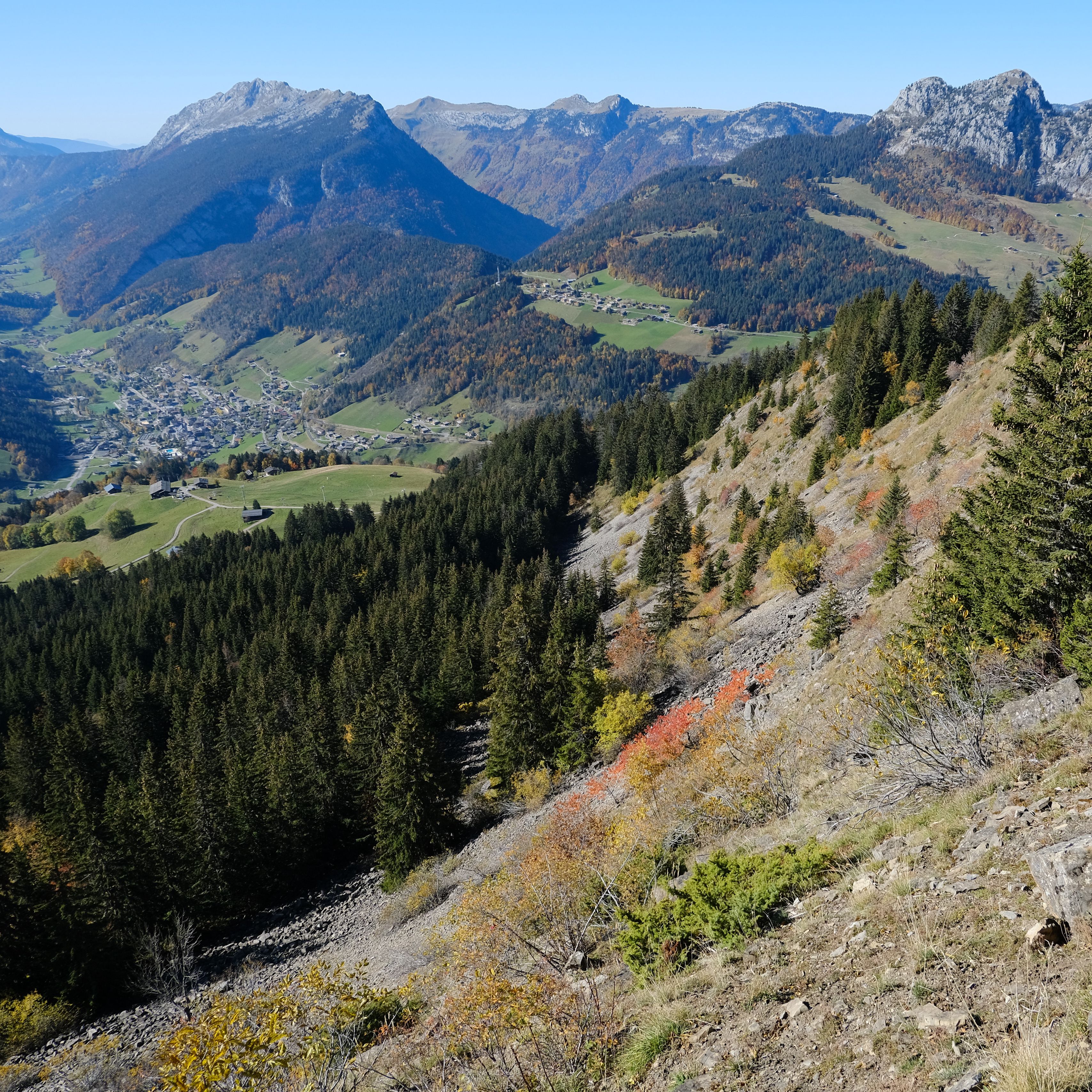 Standard mountain. Склоны гор. На склоне горы. Вид со склона горы. 1.Крымские горные склоны в лесах.