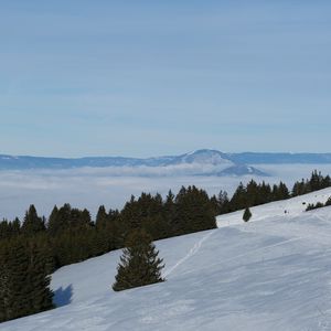 Превью обои горы, склон, снег, деревья, зима, пейзаж