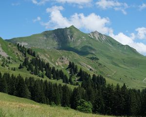 Превью обои горы, склоны, деревья, пейзаж