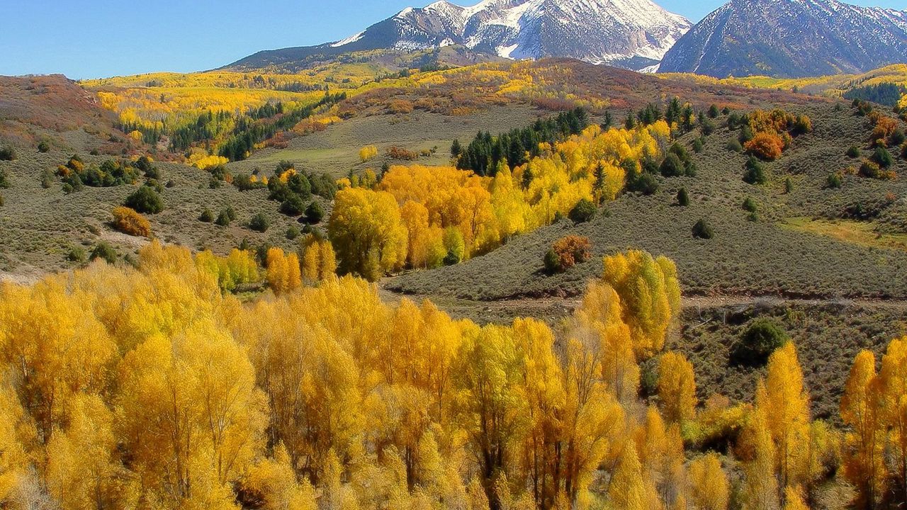 Обои горы, склоны, деревья, желтые, осень