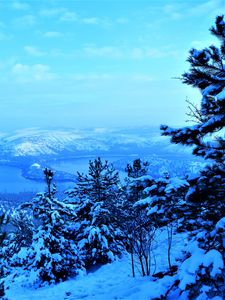 Превью обои горы, снег, деревья, зима, вид сверху