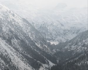 Превью обои горы, снег, деревья, долина, пейзаж