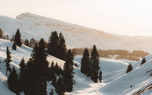 Превью обои горы, снег, деревья, ручей, зима