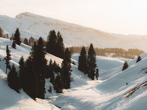 Превью обои горы, снег, деревья, ручей, зима