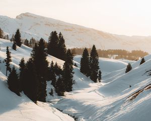 Превью обои горы, снег, деревья, ручей, зима