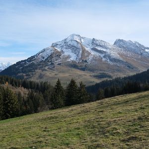 Превью обои горы, снег, деревья, склон, пейзаж