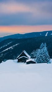 Превью обои горы, снег, домик, зима, хижина, альпы