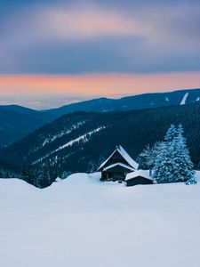 Превью обои горы, снег, домик, зима, хижина, альпы