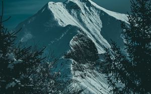 Превью обои горы, снег, ель, склон