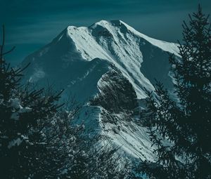 Превью обои горы, снег, ель, склон