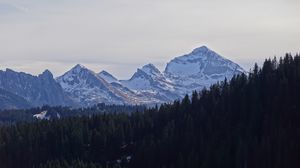 Превью обои горы, снег, лес, деревья, пейзаж, природа